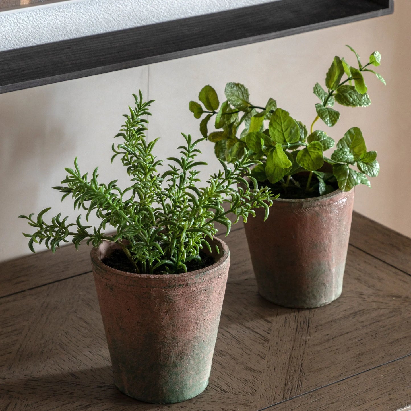 Potted Rosemary - Terracotta