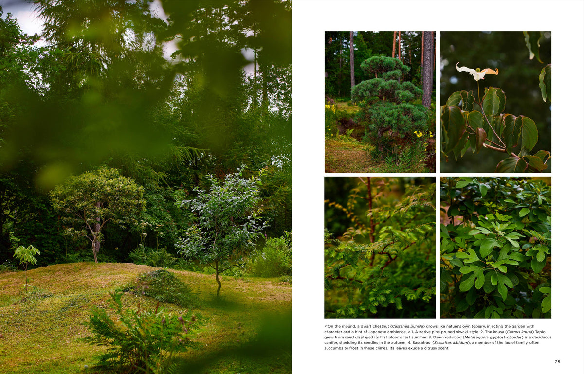 Garden Book: Island Gardens