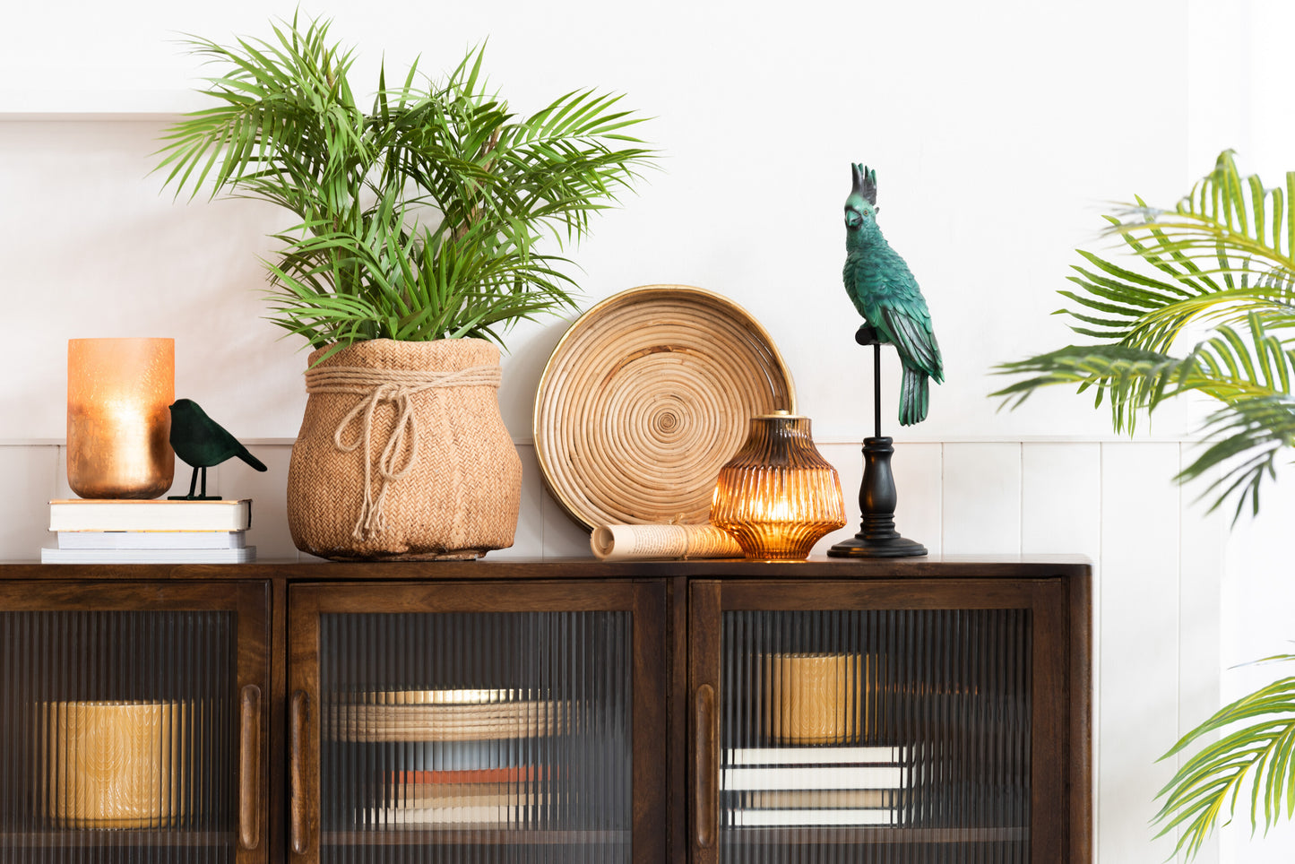 Chamaedorea In Pot Plastic