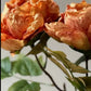 Faux Single Closed Cup Peony - Rust Orange
