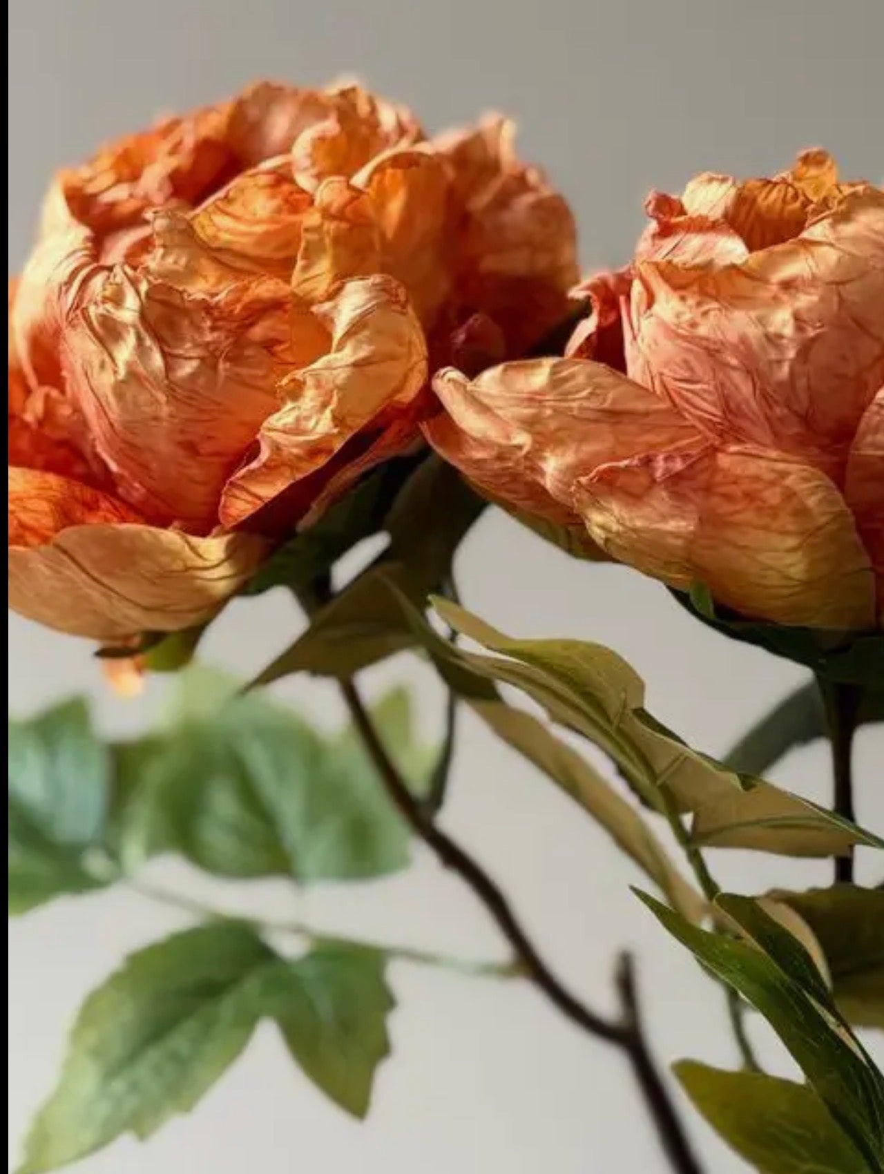 Faux Single Closed Cup Peony - Rust Orange
