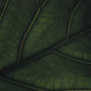 Green Home Book