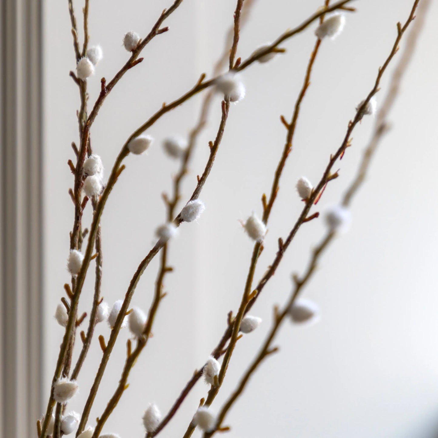 Willow Stems & Vase Arrangement
