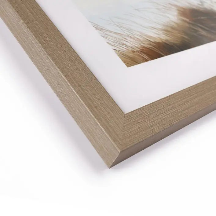 Beyond The Dunes - Framed Art