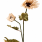 Faux Vintage Poppy Bloom - Nude