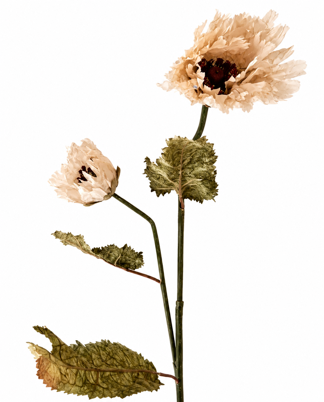 Faux Vintage Poppy Bloom - Nude
