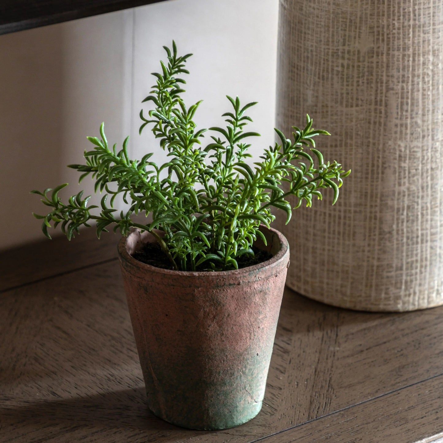 Potted Rosemary - Terracotta