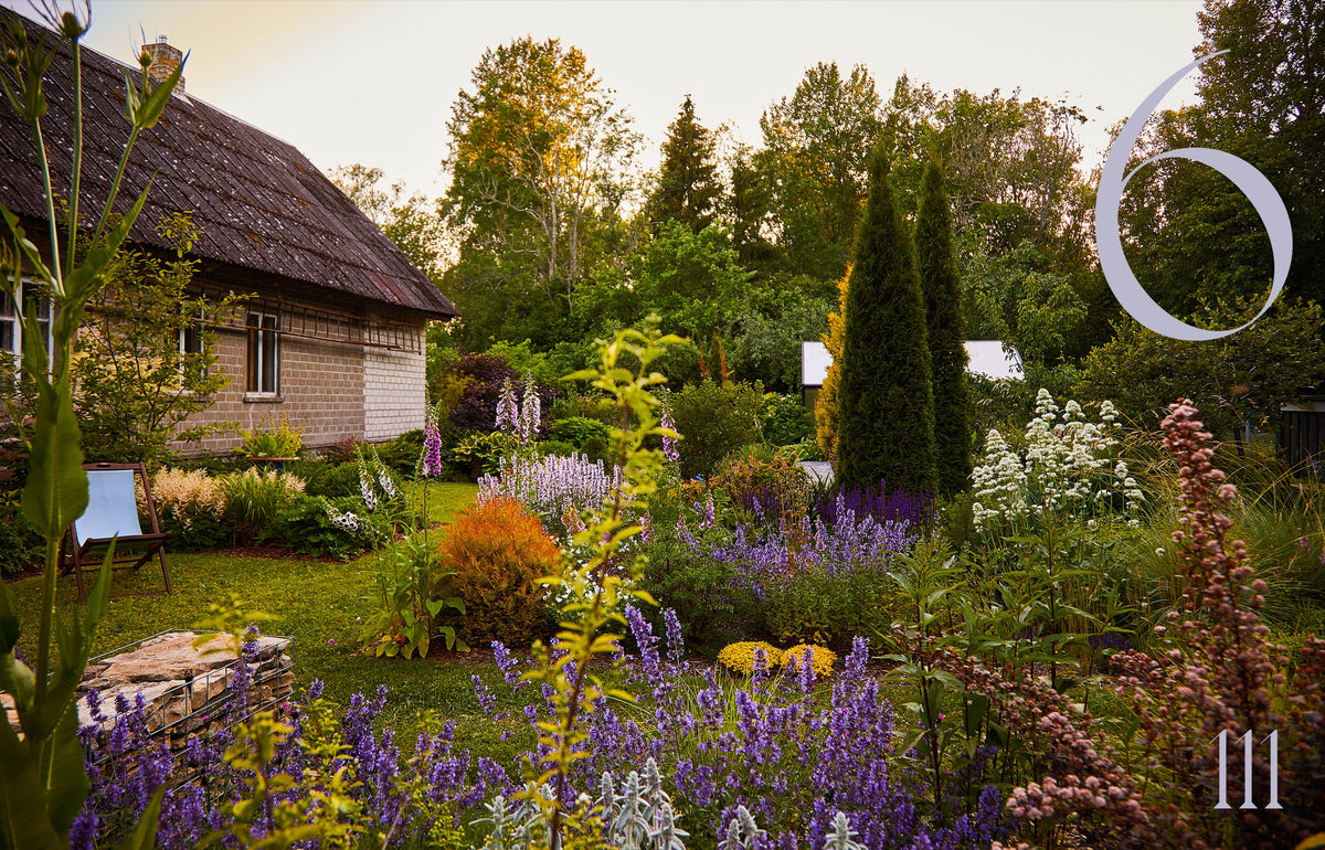 Garden Book: Island Gardens
