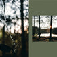 SAUNA - Book