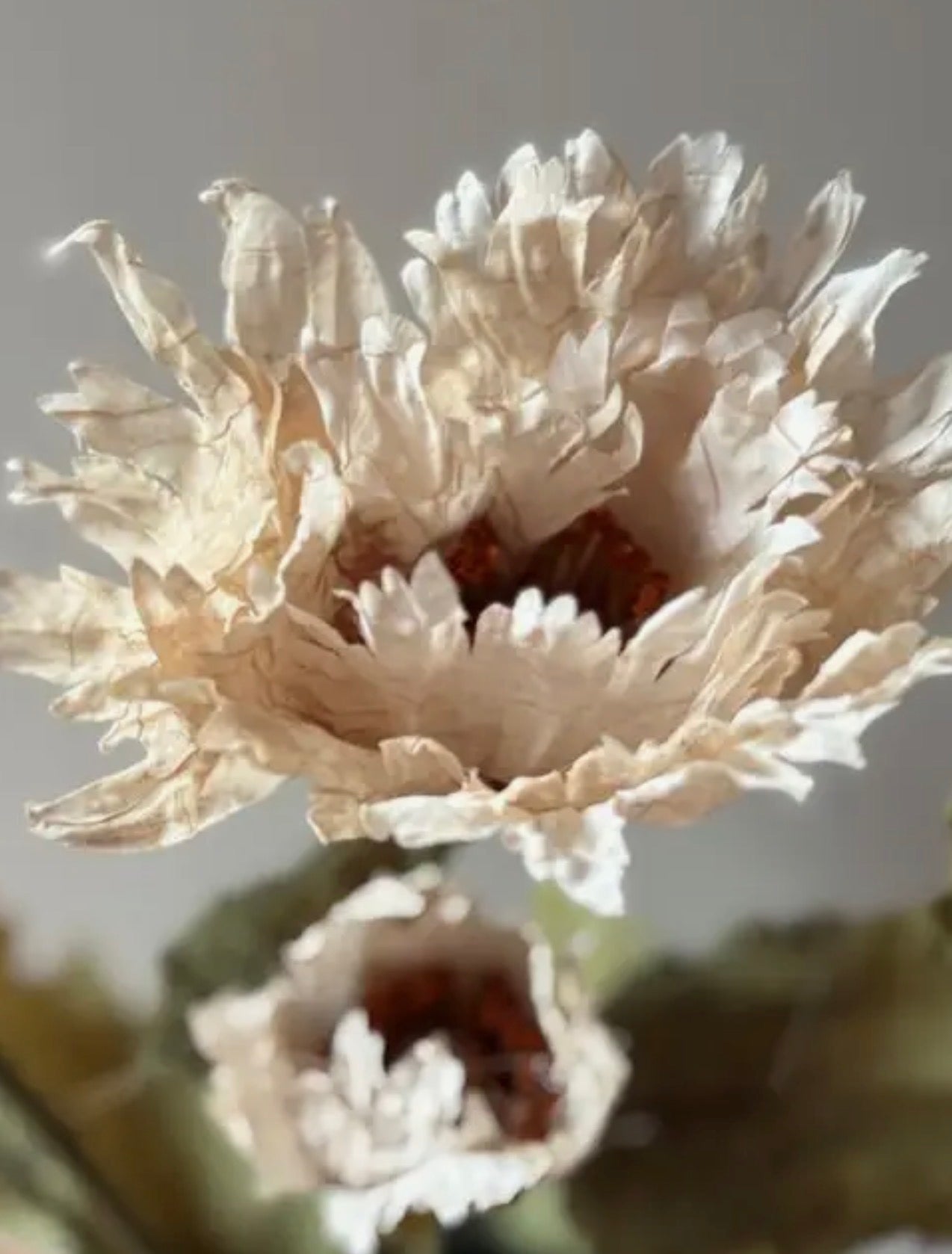 Faux Vintage Poppy Bloom - Nude