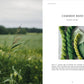 Crafts & Knitting: Dyeing Naturally