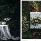 Nordic Winter Cookbook