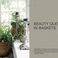 The Potted Garden - All Year Round