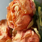 Faux Single Closed Cup Peony - Rust Orange