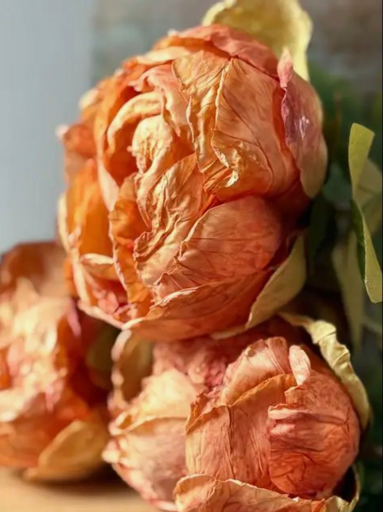 Faux Single Closed Cup Peony - Rust Orange