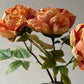 Faux Single Closed Cup Peony - Rust Orange