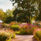 Garden Book: Island Gardens