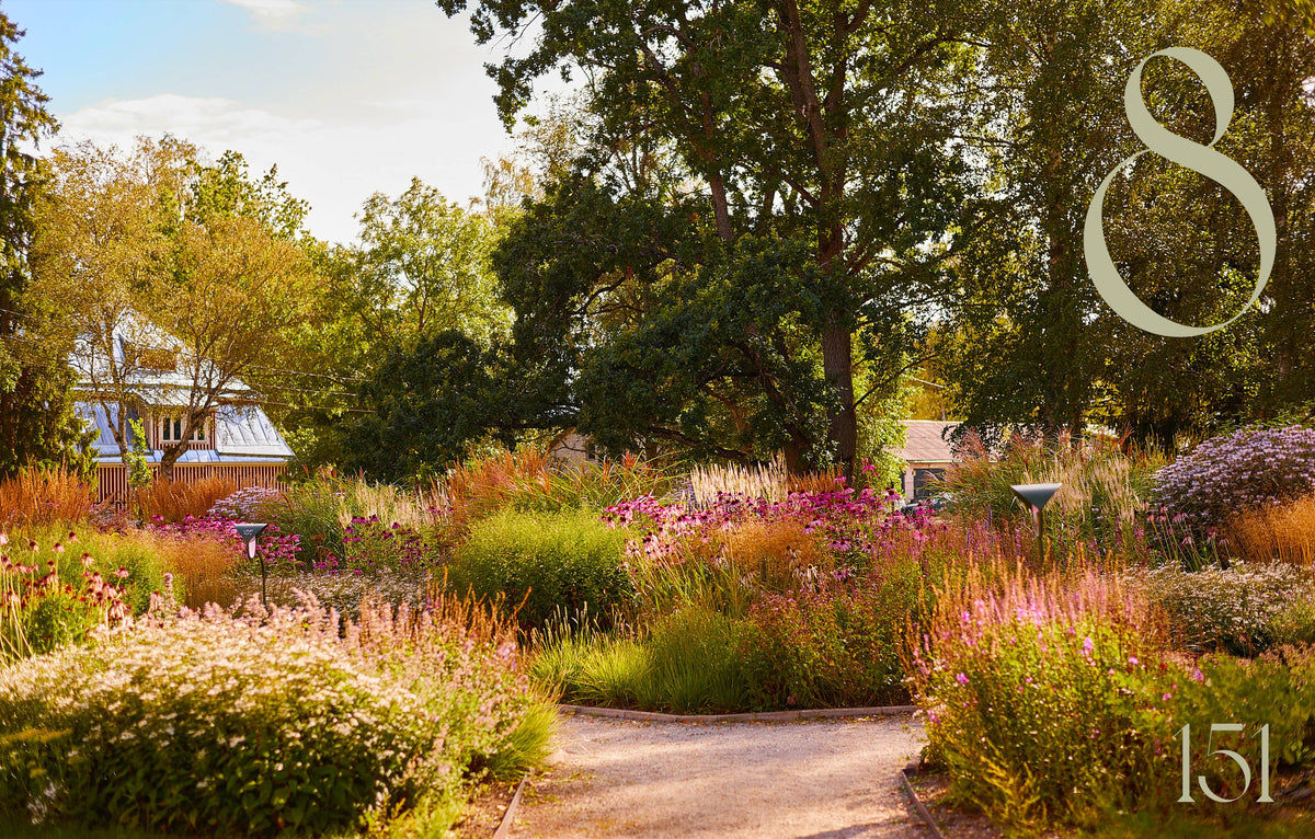 Garden Book: Island Gardens