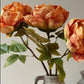 Faux Single Closed Cup Peony - Rust Orange