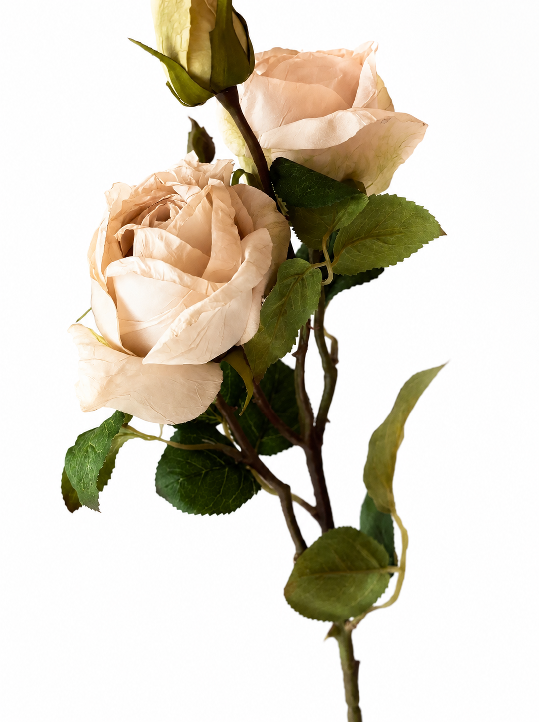 Faux Vintage Rose Spray  - Nude