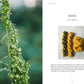 Crafts & Knitting: Dyeing Naturally