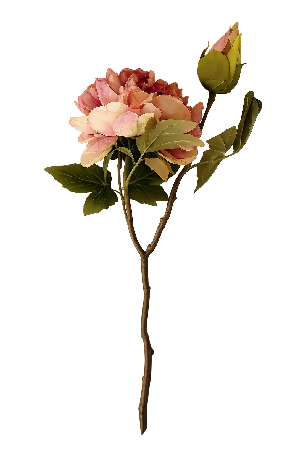 Faux Full Bloom Double Peony - Dusky Pink