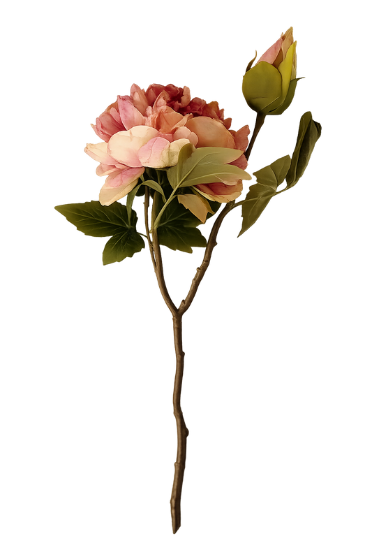 Faux Full Bloom Double Peony - Dusky Pink
