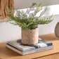 Faux Potted Fern 35cm