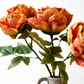 Faux Single Closed Cup Peony - Rust Orange