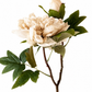 Faux Full Bloom Double Peony  - Nude