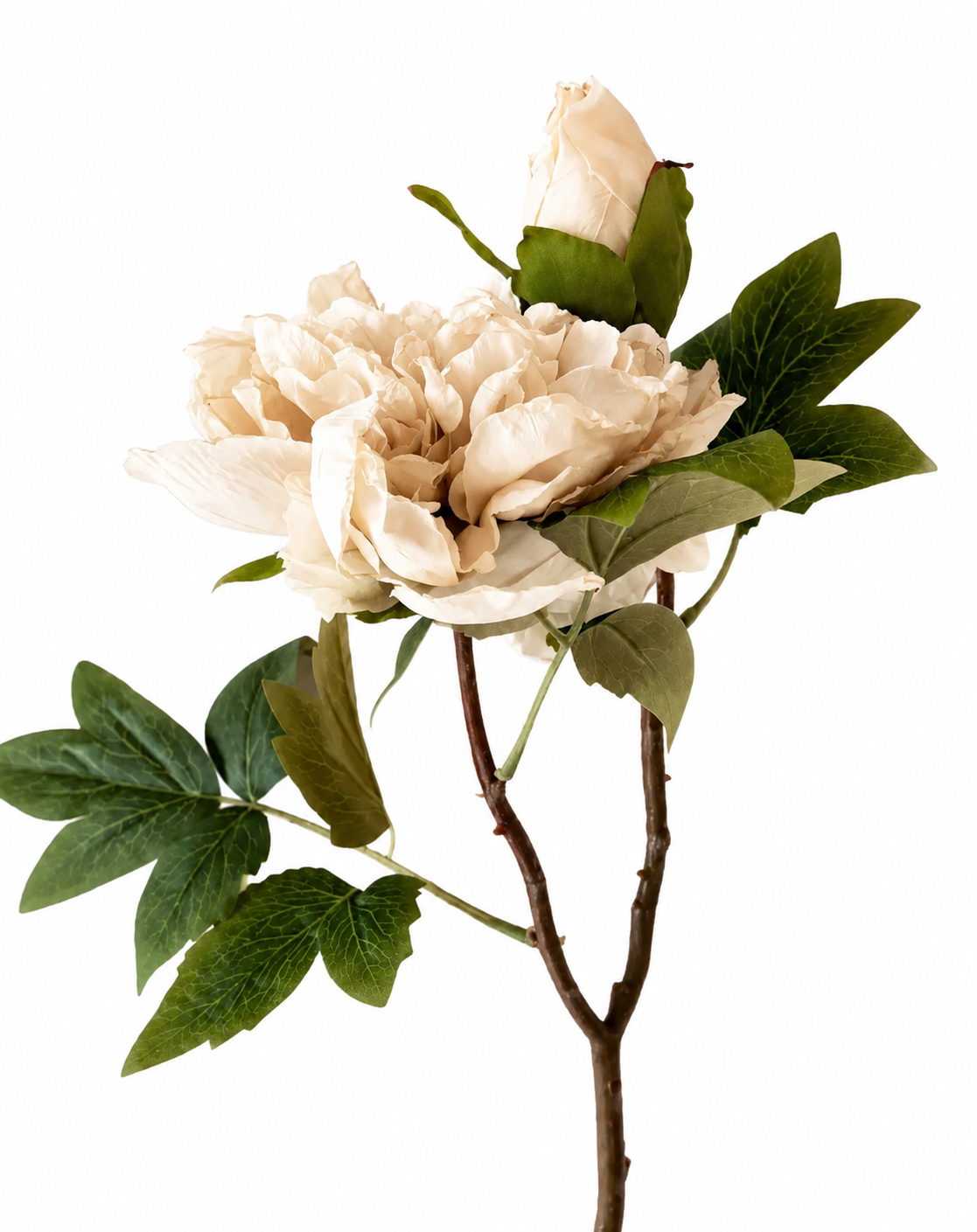 Faux Full Bloom Double Peony  - Nude