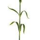 Faux Stem Statement Bloom (Sold Separately)
