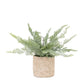 Faux Potted Fern 35cm