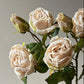 Faux Vintage Rose Spray  - Nude