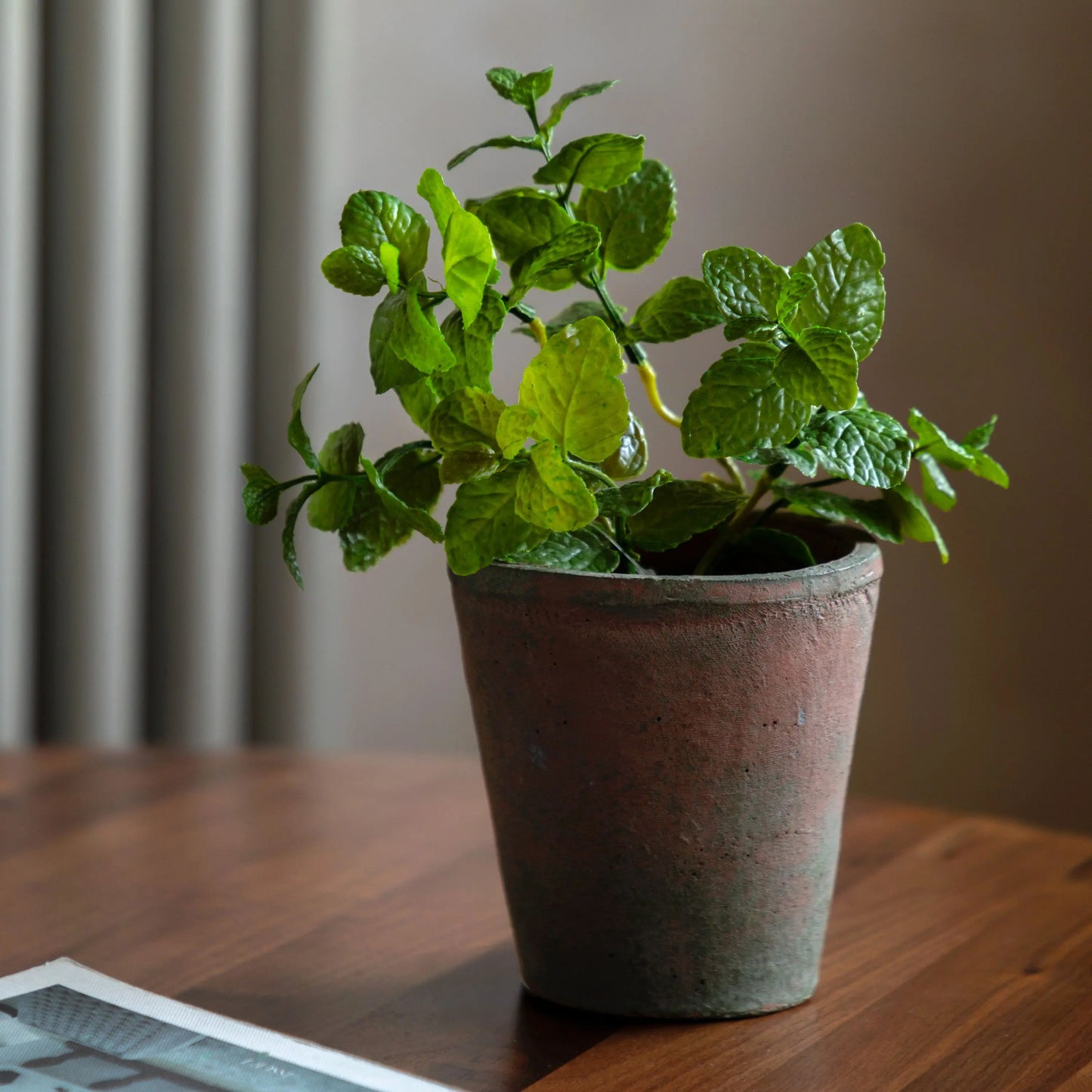 Potted Mint - Terracotta
