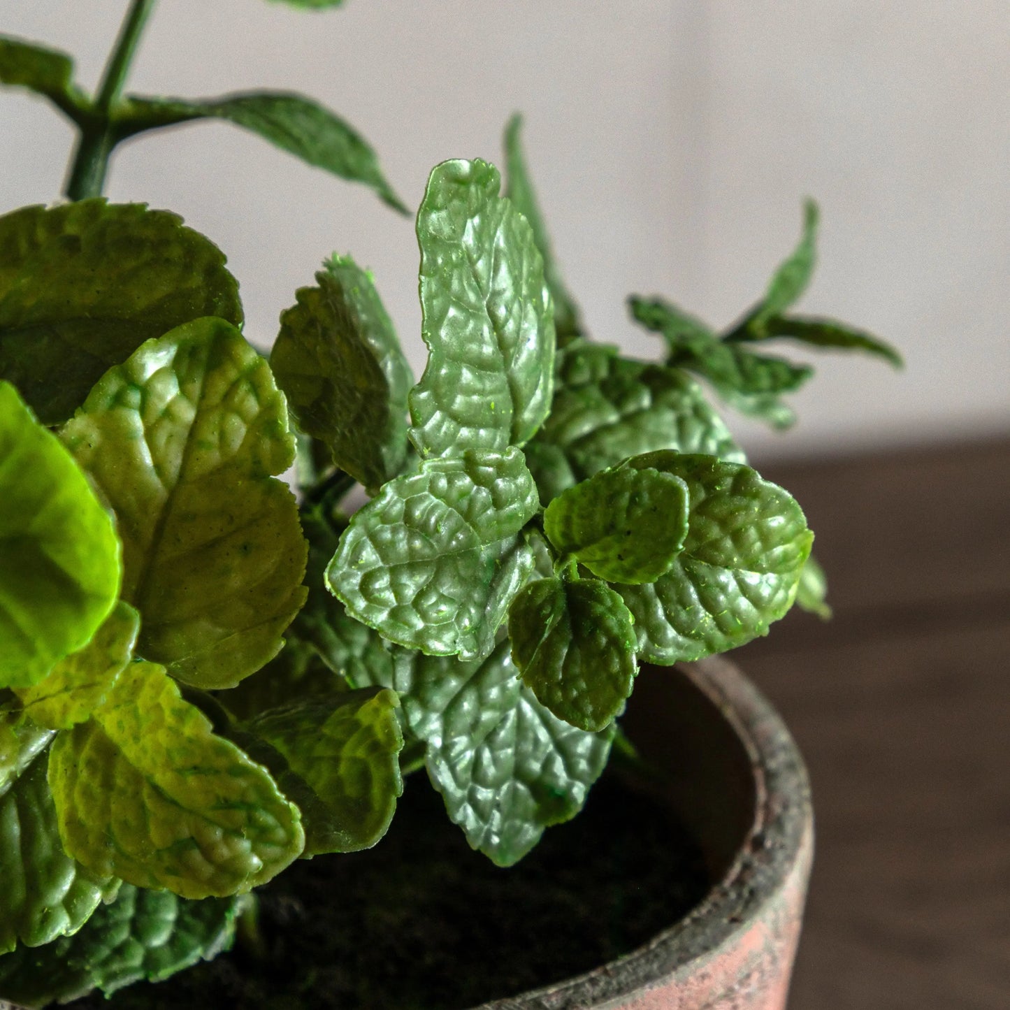 Potted Mint - Terracotta