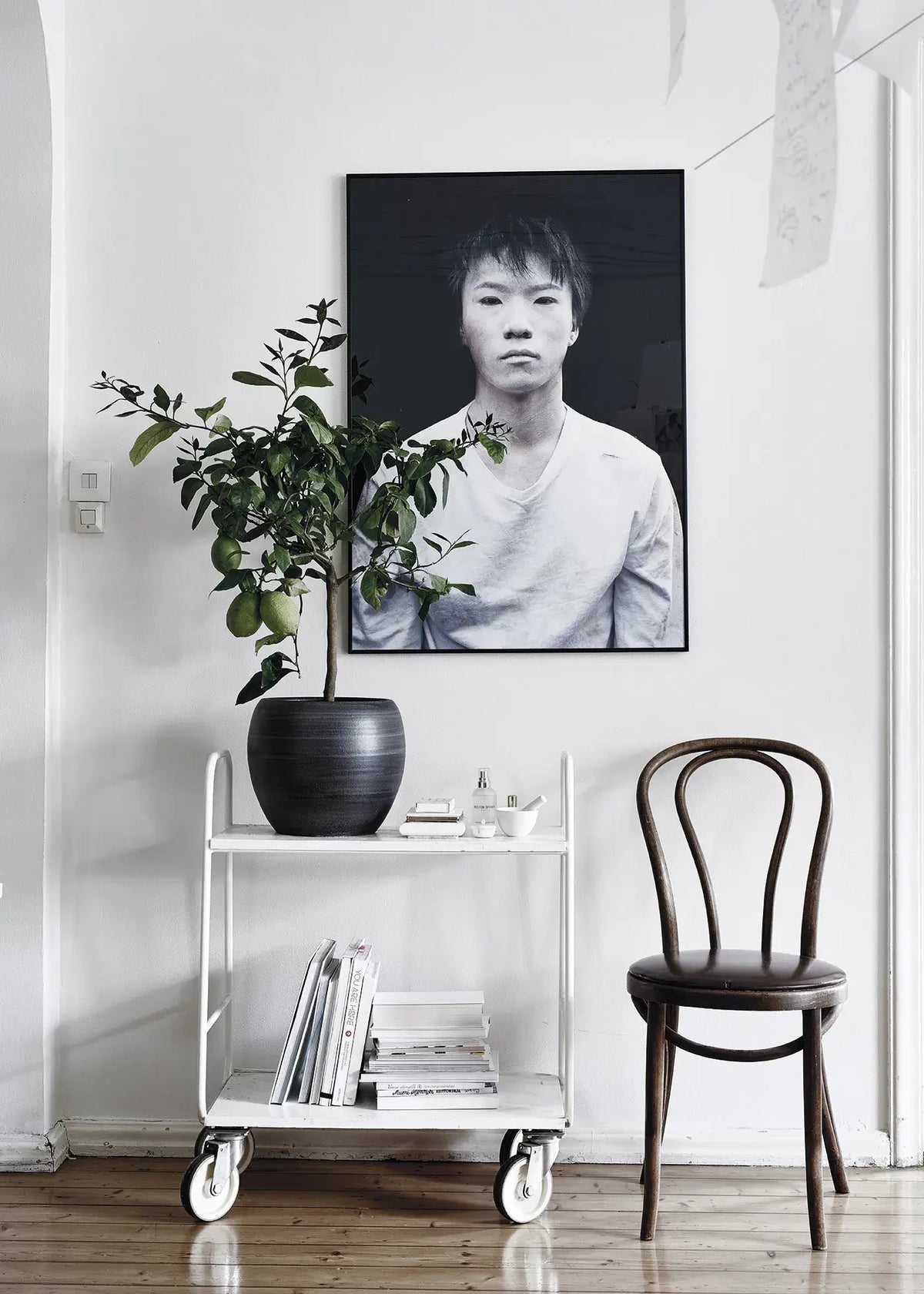 Green Home Book