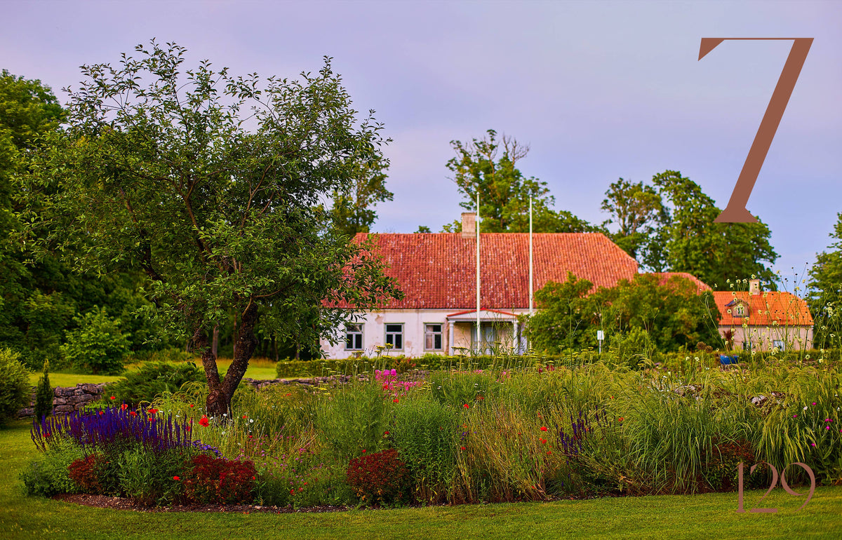 Garden Book: Island Gardens