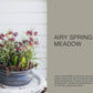 The Potted Garden - All Year Round