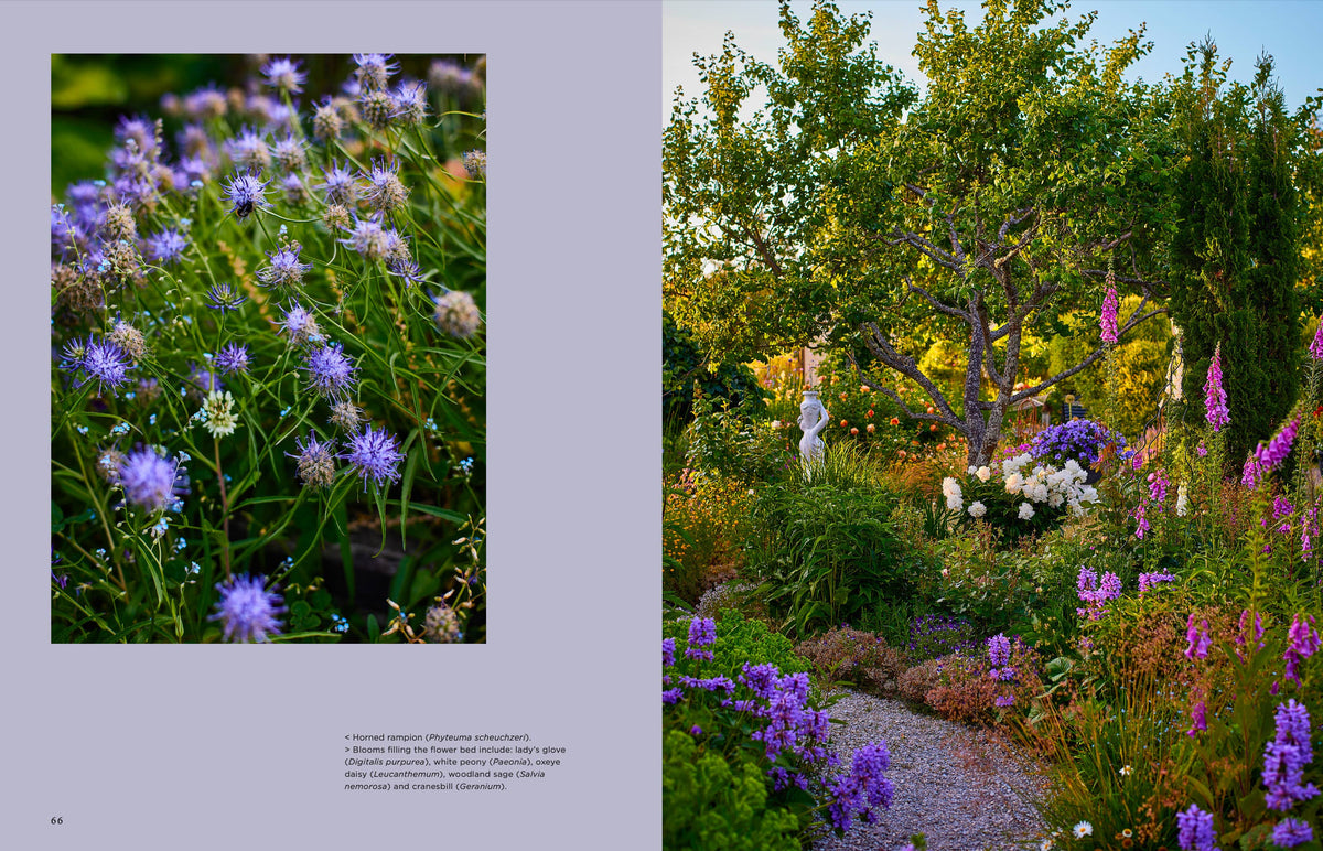 Garden Book: Island Gardens