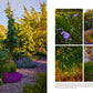 Garden Book: Island Gardens