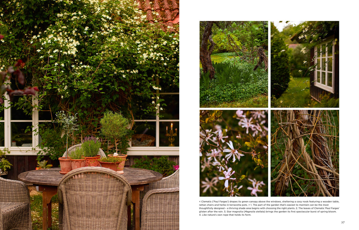 Garden Book: Island Gardens